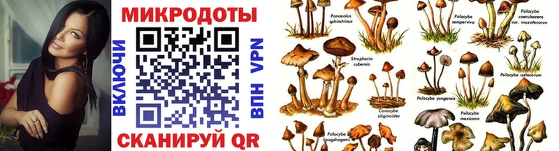 Купить закладки  Рыльск  Галлюциногенные грибы Magic Shrooms 